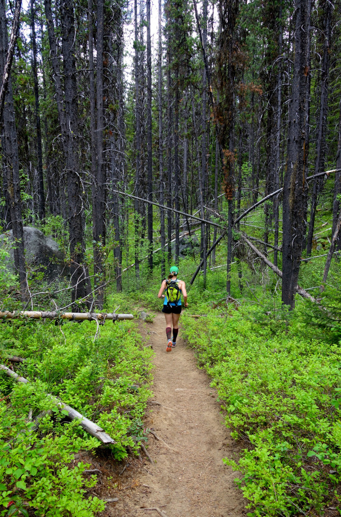 Awesome Trail!