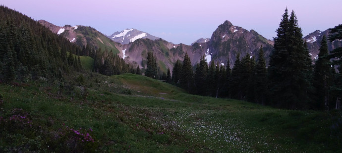 A meadow near our camp at Appleton Pass. Dusk in Olympic National Park. 