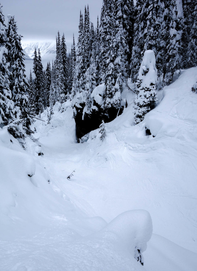 Revelstoke stoke. Steep and powdery.