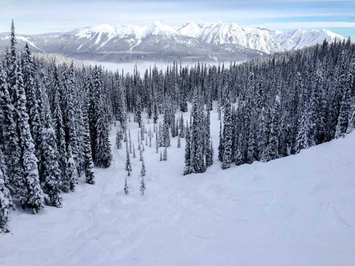 mmm -- powder. They had just opened this terrain. We gobbled it up!