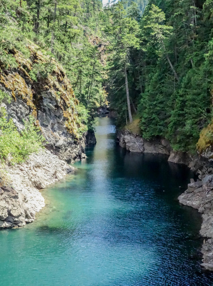 Devil's Creek feeding into Ross Lake. 