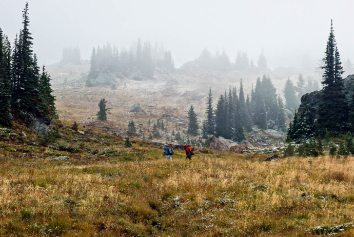 Cold and misty Snowgrass Flats