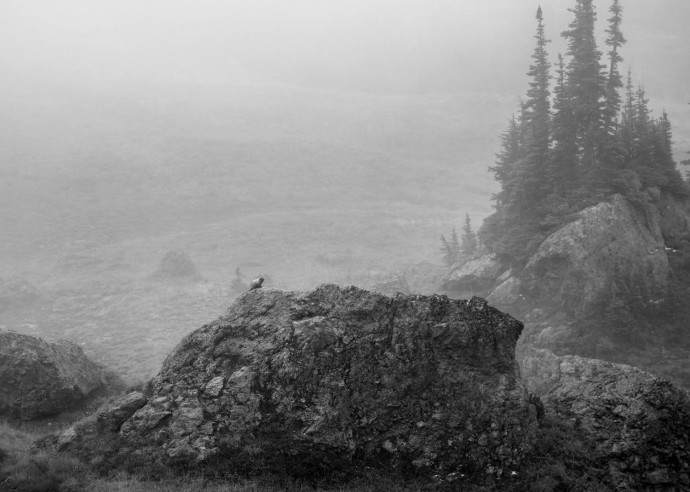 Even the resident marmots were grumbling about the weather. 