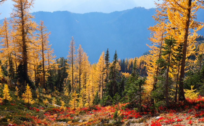 Gorgeous autumn colors in the Entiat Mountains