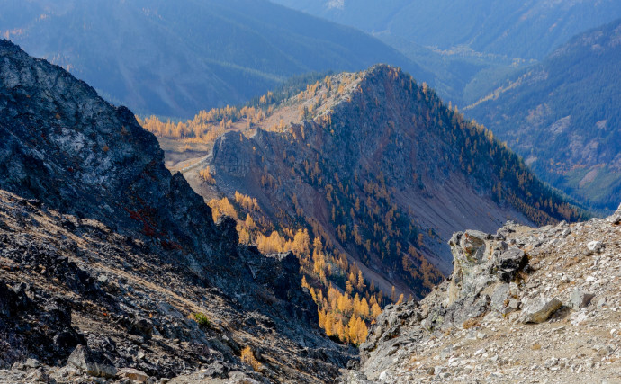 High Above the Larches