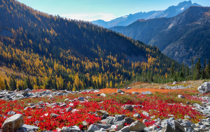 Autumn in the Cascades